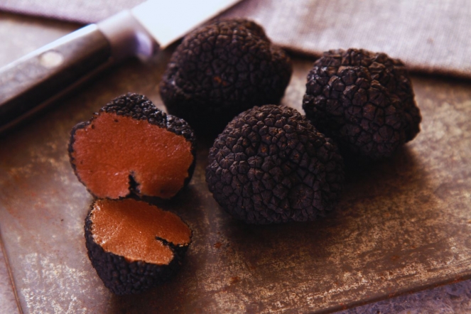 La trufa negra y su valor gastronómico único