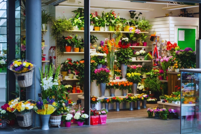 Las floristerías como aliadas de la belleza urbana y la economía local