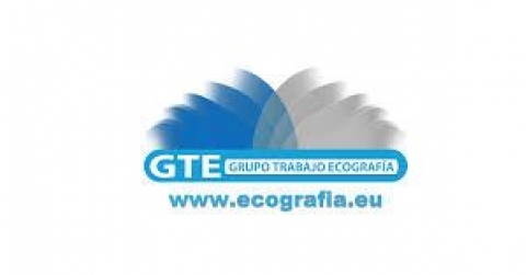 Médicos de diferentes especialidades se formarán sobre Ecografía Músculo-Esquelética en Ourense