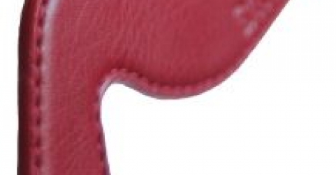 Saanpad Stylus, el complemento ideal del Apple pencil