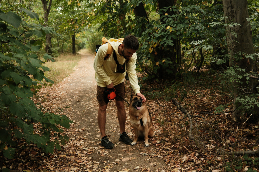 775317 Adiestrador canino - Europa Love 24h Man in a light hoodie pets a dog on a leaf-strewn forest path with a backpacked shoulder strap visible on his back.