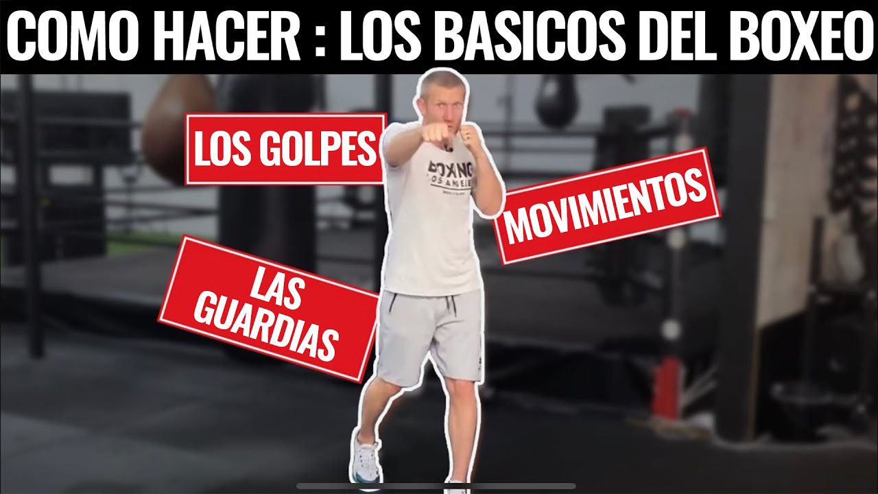 Guía completa sobre boxeo en España: tendencias