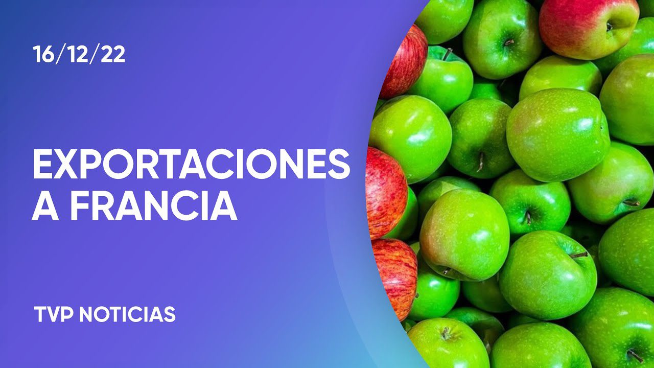 Exportaciones en Francia: análisis
