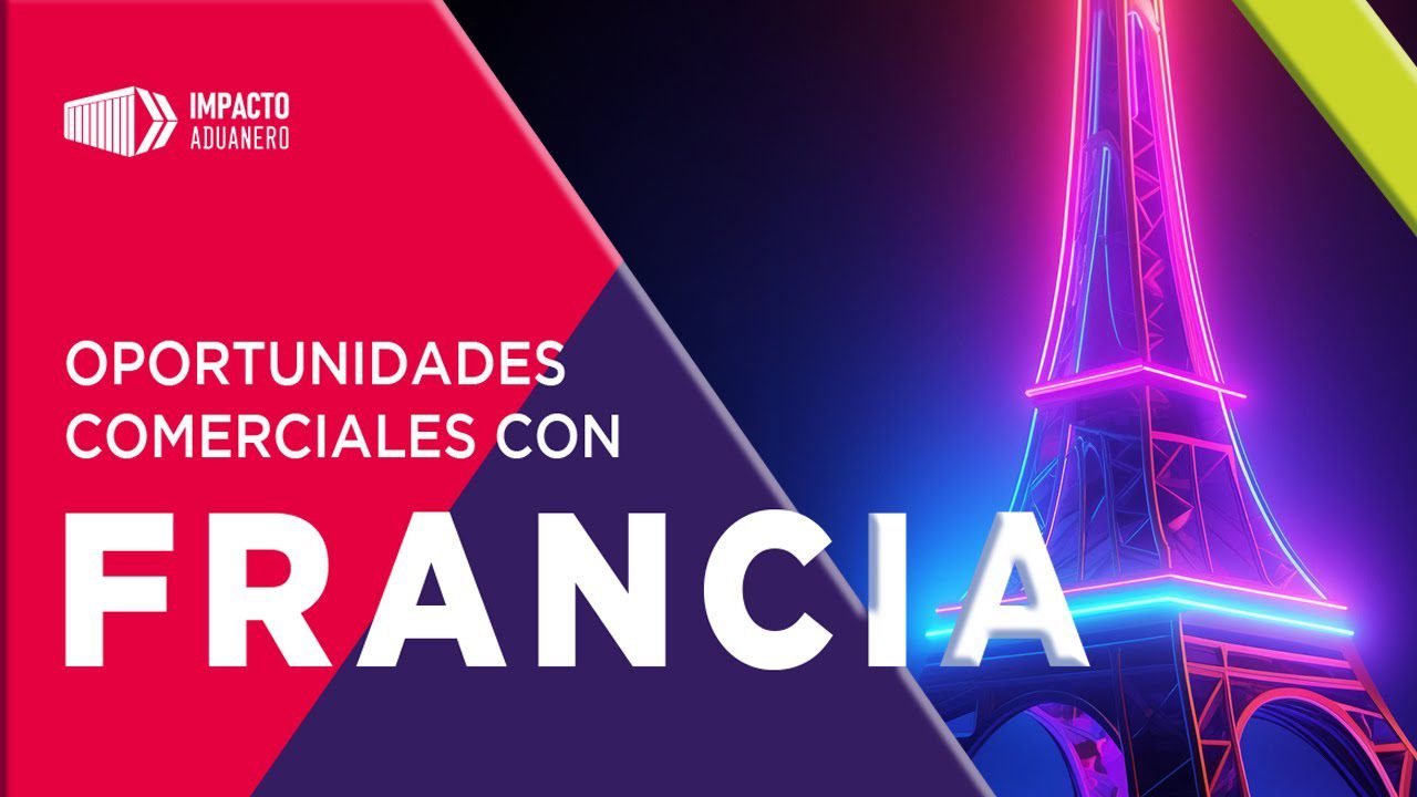 Importaciones en Francia: análisis