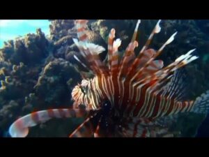 Cómo influye la biodiversidad en Francia
