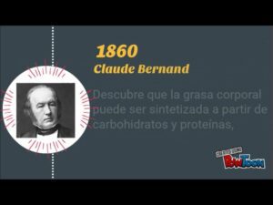 La evolución de la nutrición en Francia