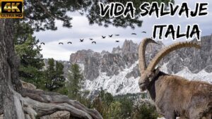 Cómo influye la biodiversidad en Italia