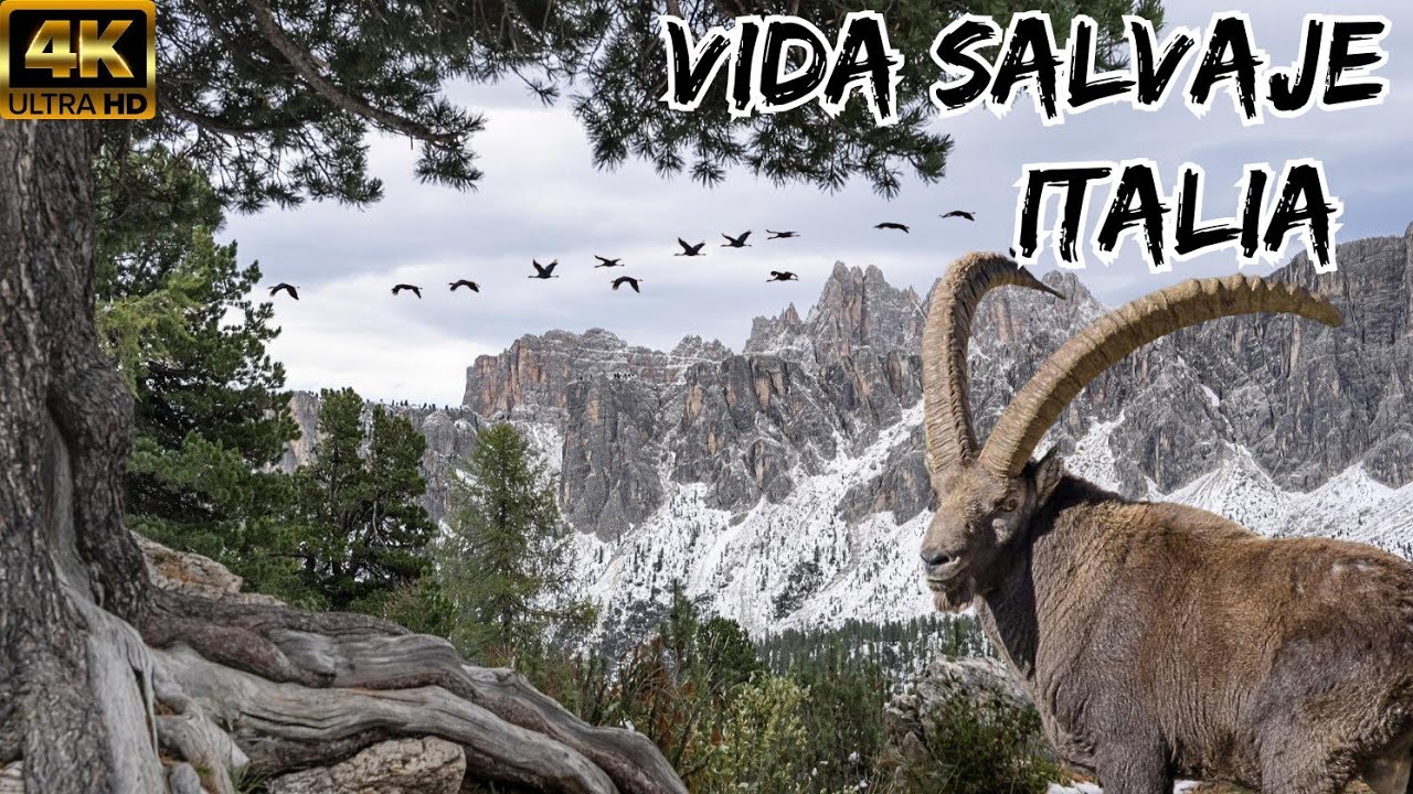 Como-influye-la-biodiversidad-en-Italia - Europa Love 24h Cómo influye la biodiversidad en Italia