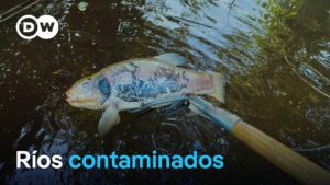 Cómo influye la ecosistemas en Alemania