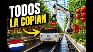 Innovación en Países Bajos: análisis